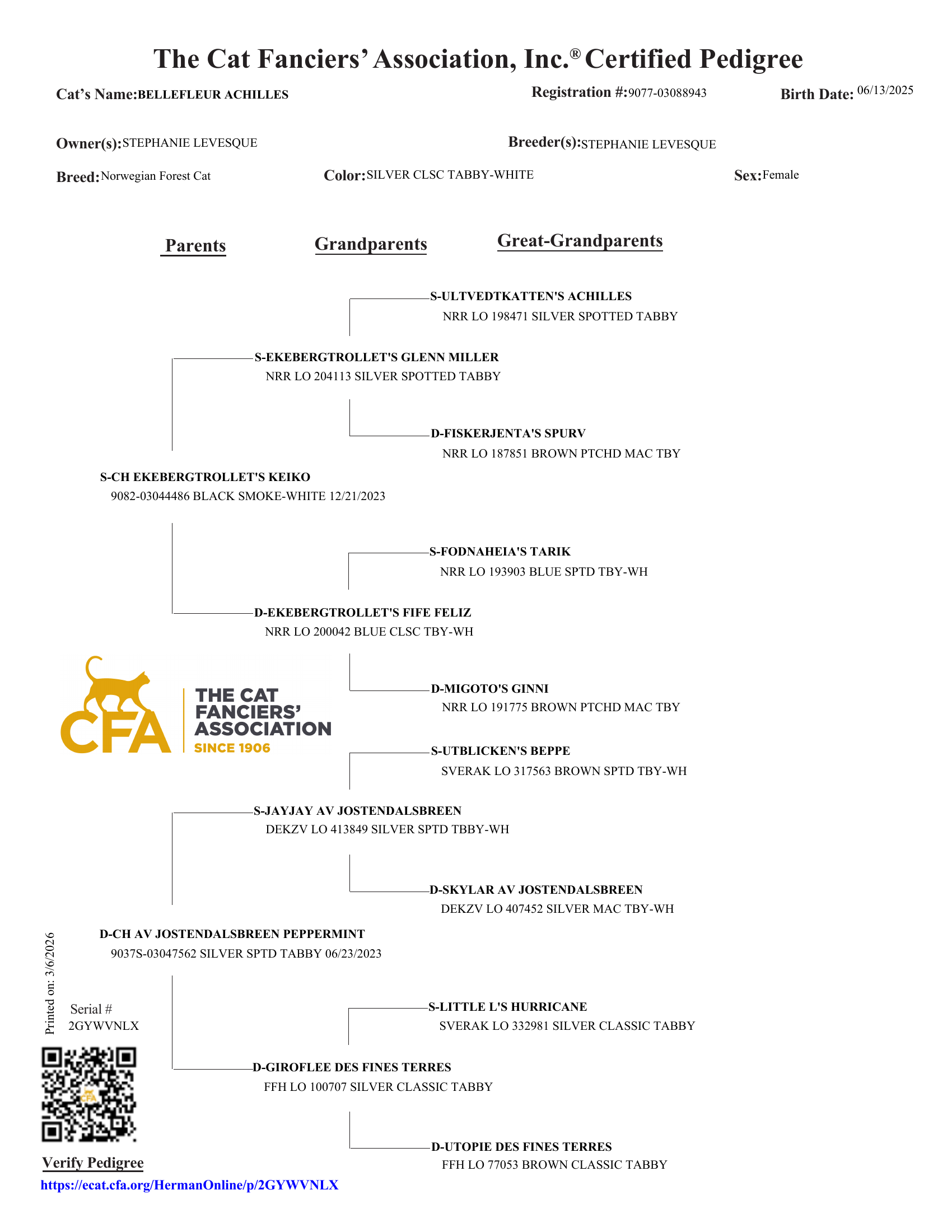 Achilles 3-generation CFA certified pedigree