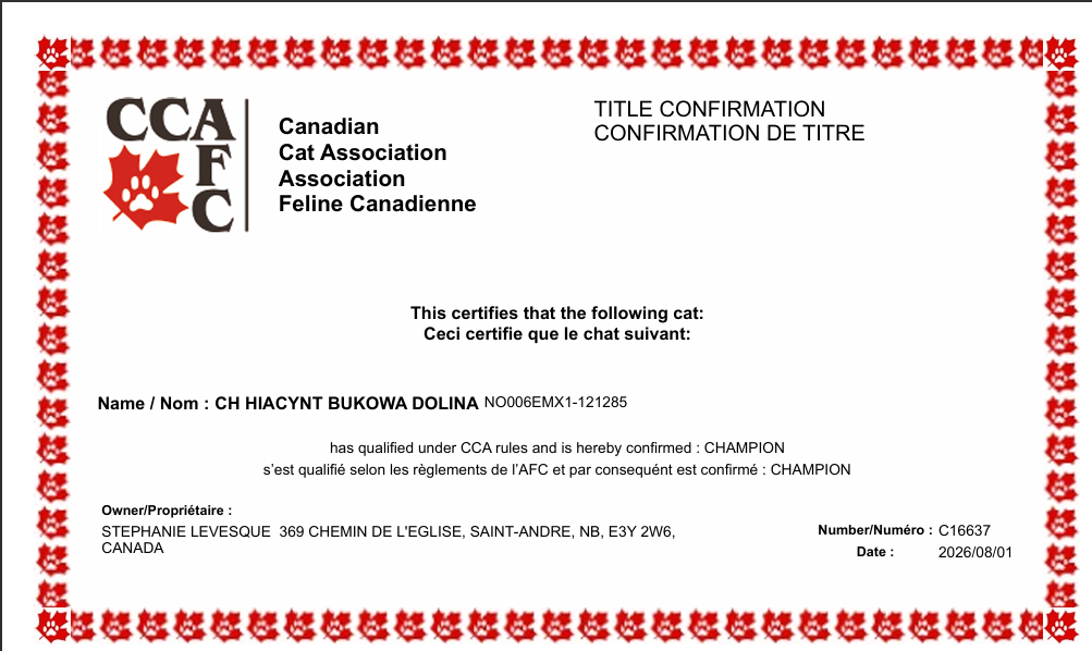 CCA Title Confirmation certificate, Champion