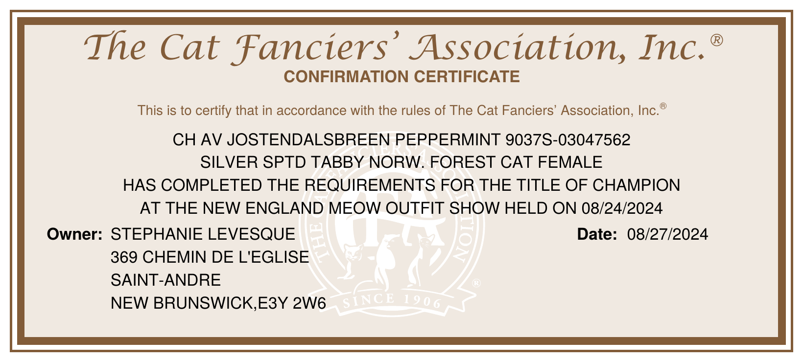 CFA Champion Title Confirmation certificate for Peppermint